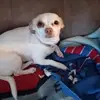 Leroy Hamm - @leroy.hamm2 - TikTok