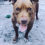leroy Jefferson - @waltercastro2100 - Instagram