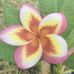 Leroy Kruger - Facebook