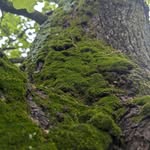 LeRoy Lake - @leroylake1 - Instagram