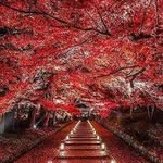Gokhan Kececi - @leroylarson79547219 - Instagram
