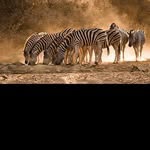 @leroylarsonv - Instagram