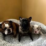 @laylaleroyandluciuslutz - Instagram