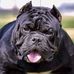 Leroy Mackey - Facebook
