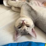 Leroy Malcolm - Facebook
