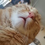 Leroy A Manning - @leroygingerman - Instagram