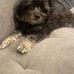Leroy Manning - Facebook
