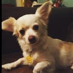 Leroy Mayer - @leroymayer_ - Instagram