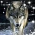 Leroy Mcbride - Facebook