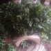 Mccan Laura - Facebook