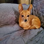Leroy Morris - @lerorymorris1955 - Instagram