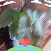 leroymorris88 - @leroymorris88 - TikTok