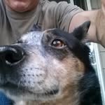 LeRoy Scott - @leroy.scott.520 - Instagram