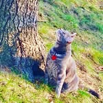 Colby LeRoy-Potter - @colbys_liladventures - Instagram