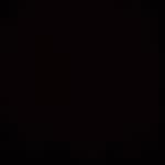 Fudd - @leroyprice_ - Instagram