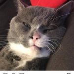 leroy Rodriguez - @leroy_rodriguez__ - Instagram
