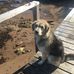 Leroy Saunders - Facebook