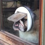 Leroy Sharp - @leroy.sharp - Instagram