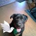 Leroy Shoemaker - Facebook