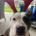@_leroysimms_ - Instagram