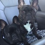 Leroy and Simon - @leroyandsimon - Instagram