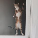 Leroy Brown - @leroy.skipper.brown - Instagram