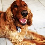 Leroy Starr Gauci - @leroythecocker - Instagram