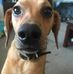 Leroy Stein - Facebook