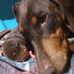 Springer LeRoy - Facebook