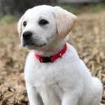 Leroy - @leroy_tanner18 - Instagram