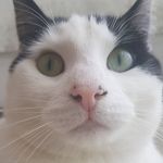 leroy townsend - @leroy_leboy - Instagram