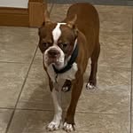 LeRoy Tucker - @flt769 - Instagram