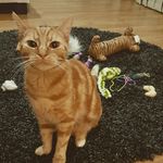 Leeloo and Leroy Walden - @leeloo_leroy_walden - Instagram