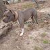 Leroy Walton - Facebook