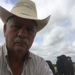 Leroy Wolff - @leroy_wolff - Instagram