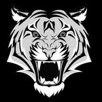 Leroy Wright Sr. - @tiger__security - Instagram