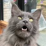 Les Abbott - @les.abbott.986 - Instagram