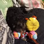 Les Adams - @les.adams.739 - Instagram