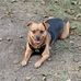 Les Adams - Facebook