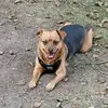 Les Adams - @les.adams3 - TikTok