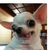 user1642414187721 - @les_allison - TikTok