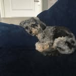 Lesley Barton - @lesley.barton - Instagram