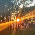 Les Boyd - @lesboyd82 - Instagram