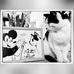 Les dessin de cameron hollay - Facebook