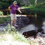Leslie McGavin Clifton - @putnamcountypetcare - Instagram