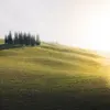 roclesfischer - @roclesfischer - TikTok