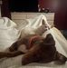 Leslie Fletcher - Facebook