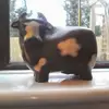 lesfoster259 - @lesfoster259 - TikTok