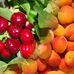 Les fruits de garcia - Facebook