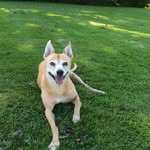 Les Gibson - @lesgibson61 - Instagram